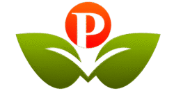 Pinnacles – Best Coaching For NEET & JEE In Bazar Samiti, Patna